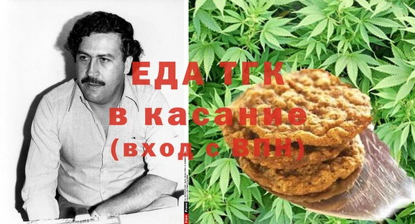 хмурый Каменка