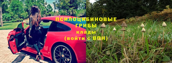 хмурый Каменка