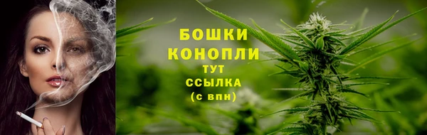 хмурый Каменка