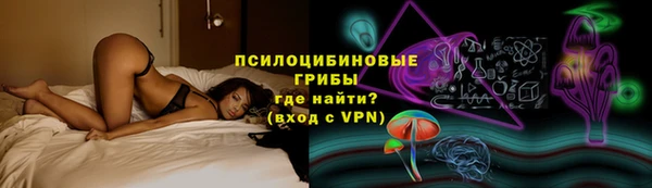 прущая мука Каменногорск