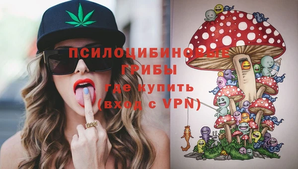 прущая мука Каменногорск