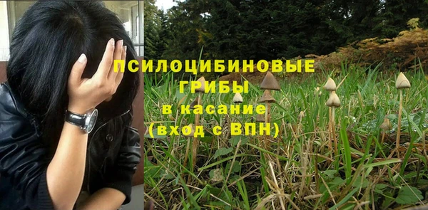 прущая мука Каменногорск