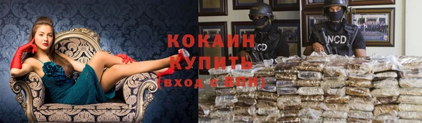 хмурый Каменка